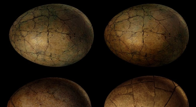 Три невероятно добре съхранени динозавърски яйца открити в Китай разкриха